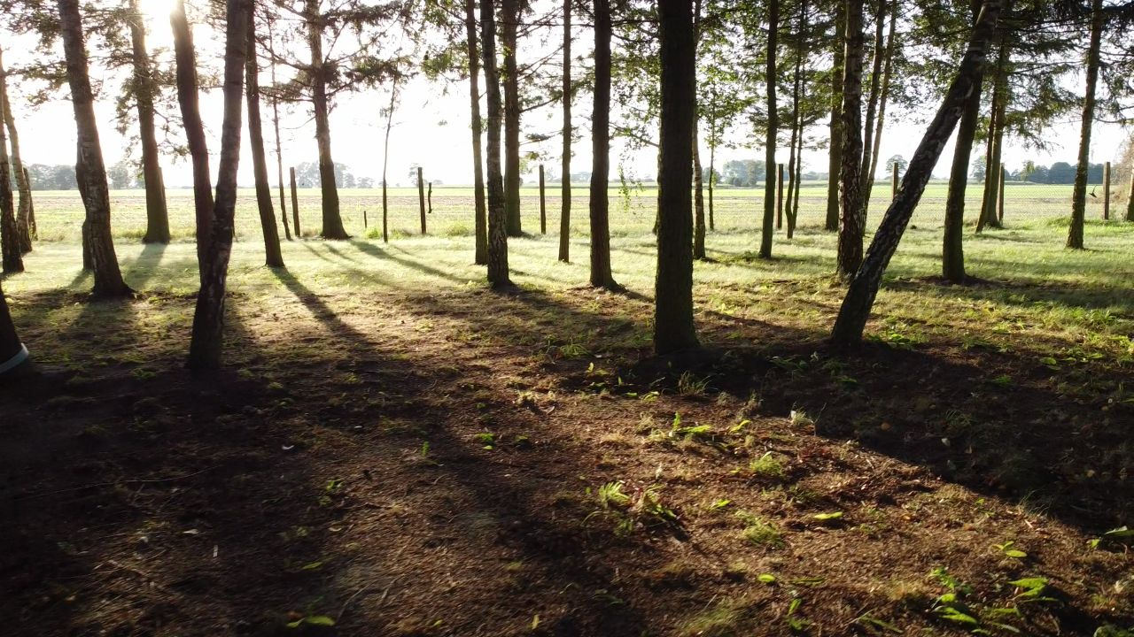 Działka rolno-budowlana Jarszewo. Zdjęcie 8