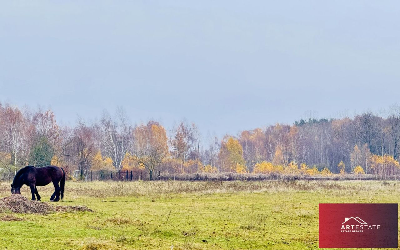 Działka rekreacyjna Nowy Adamów. Zdjęcie 4