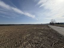 Działka budowlana Niechłód. Zdjęcie 2