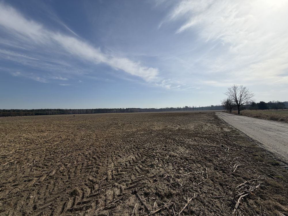 Działka budowlana Niechłód. Zdjęcie 3