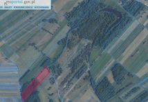 Działka rolno-budowlana Natolin Osada. Zdjęcie 2