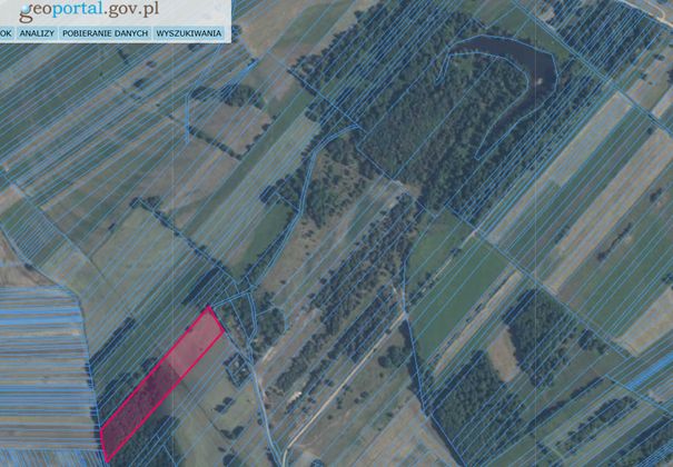 Działka rolno-budowlana Natolin Osada. Zdjęcie 3
