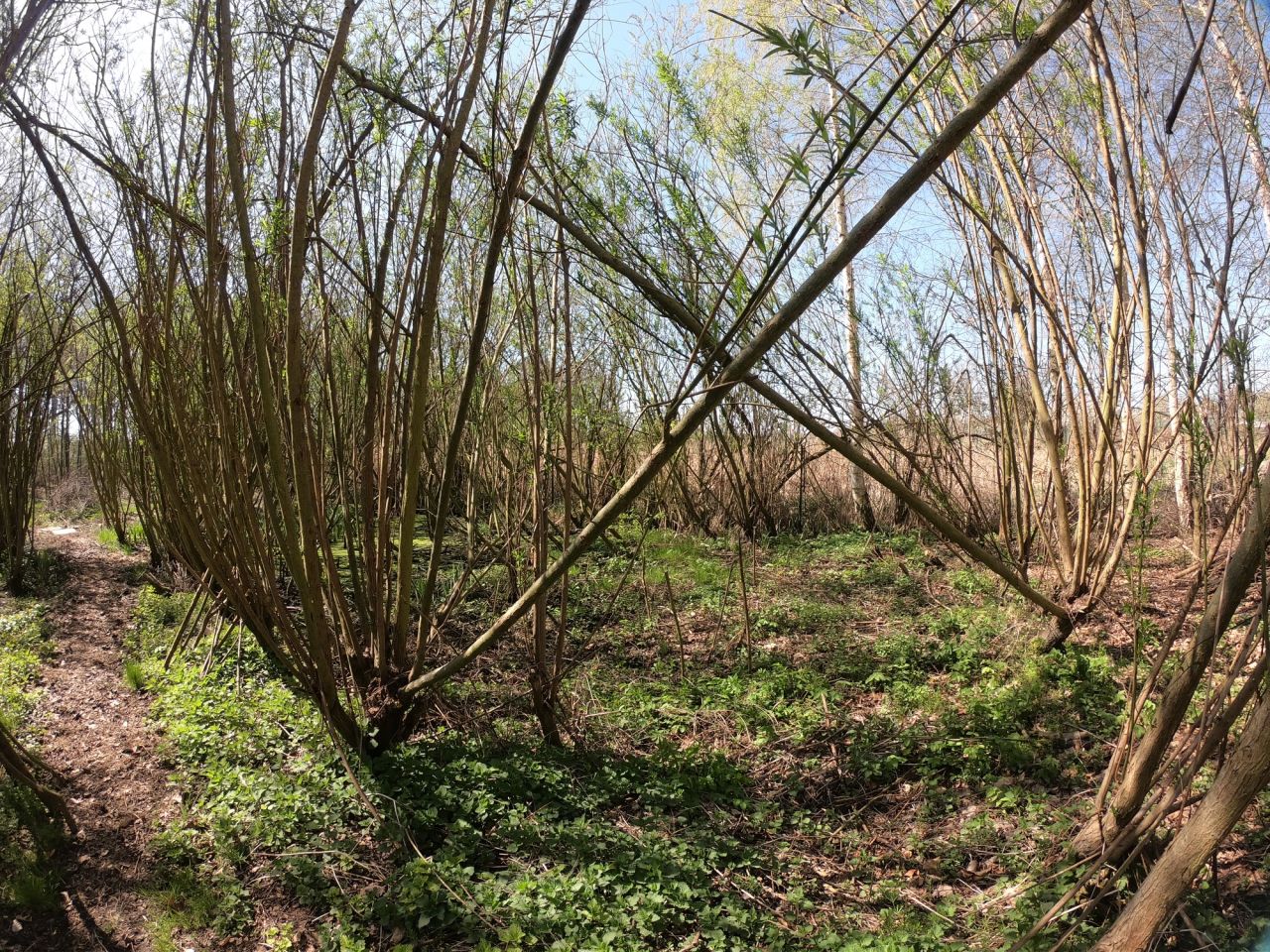 dom wolnostojący, 5 pokoi Sadów Kopce, ul. Powstańców Śląskich. Zdjęcie 27