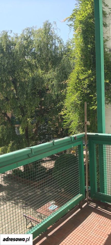 Mieszkanie 3-pokojowe Szczecin Śródmieście, ul. Bolesława Śmiałego. Zdjęcie 15