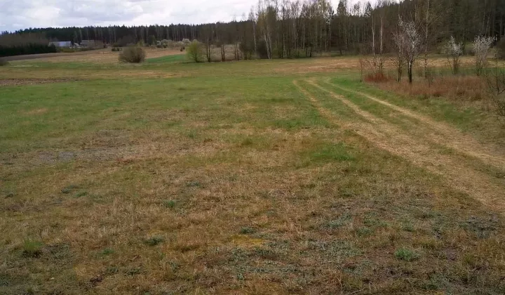 Działka rolna Pieńki