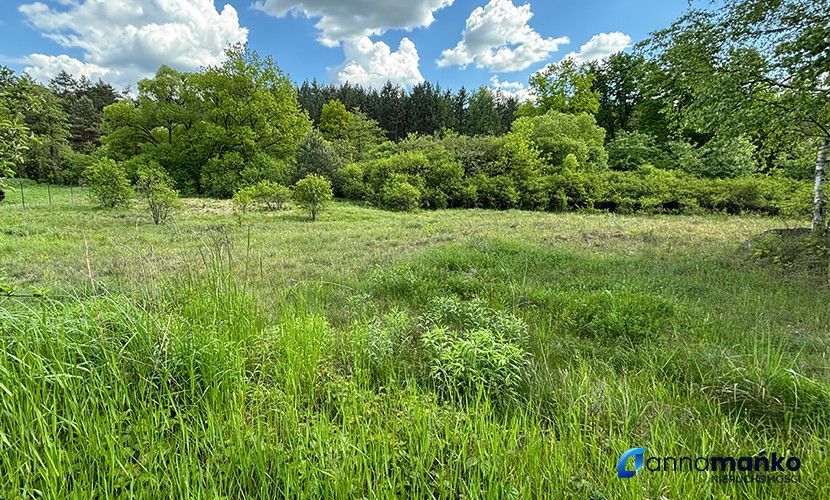 Działka budowlana Dąbrowa Górnicza Sikorka, ul. Czajkowa. Zdjęcie 6
