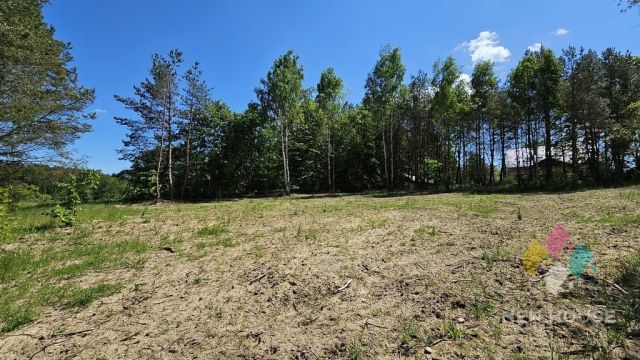 Działka Prawdowo. Zdjęcie 9