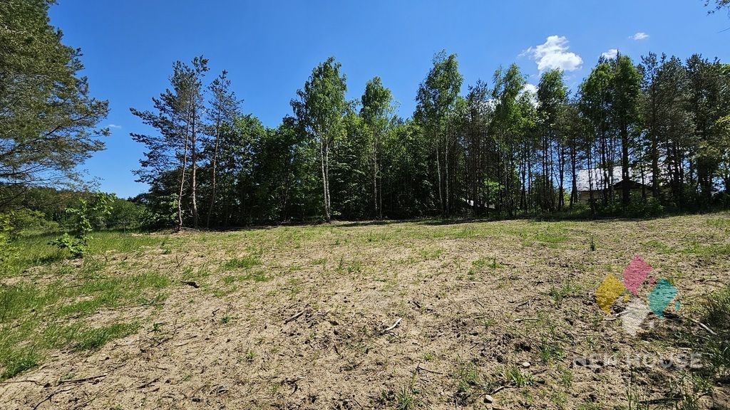 Działka Prawdowo. Zdjęcie 9