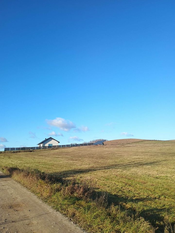 Działka budowlana Żubryn. Zdjęcie 2