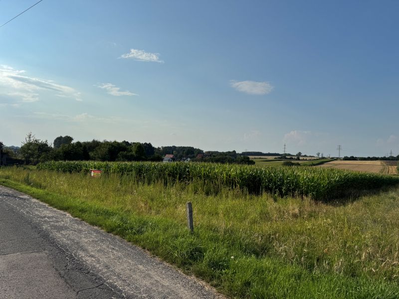 Działka rolno-budowlana Wieszowa. Zdjęcie 2