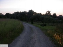 Działka rolna Płouszowice-Kolonia. Zdjęcie 2