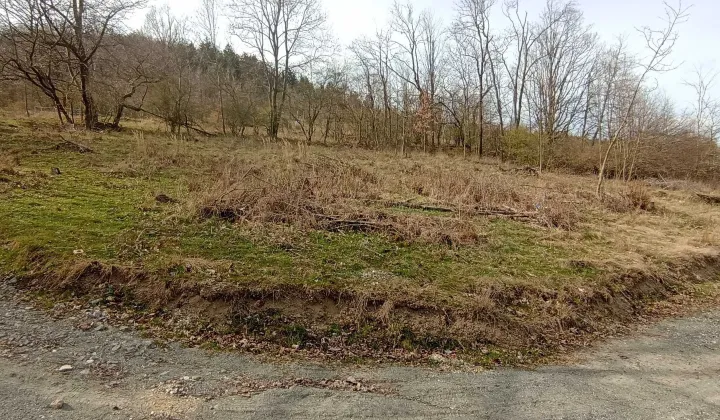 Działka budowlana Wilcza