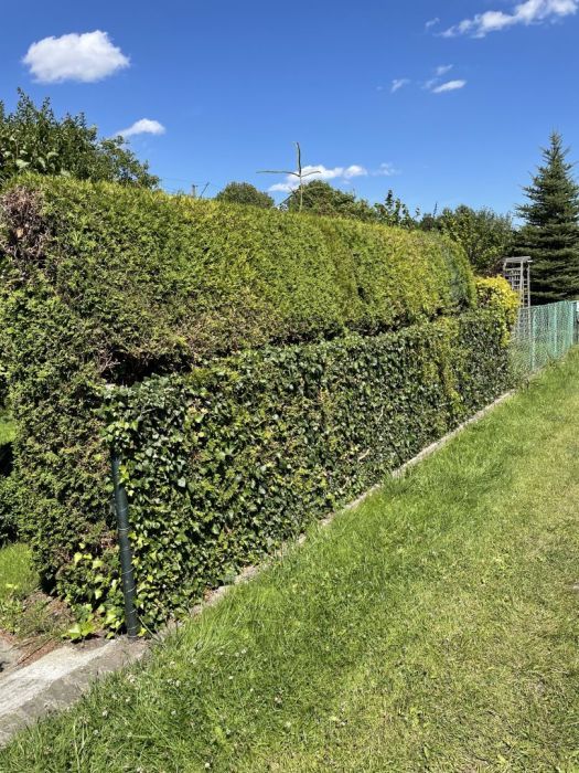 Działka rod Gdynia Cisowa, ul. Hutnicza. Zdjęcie 14