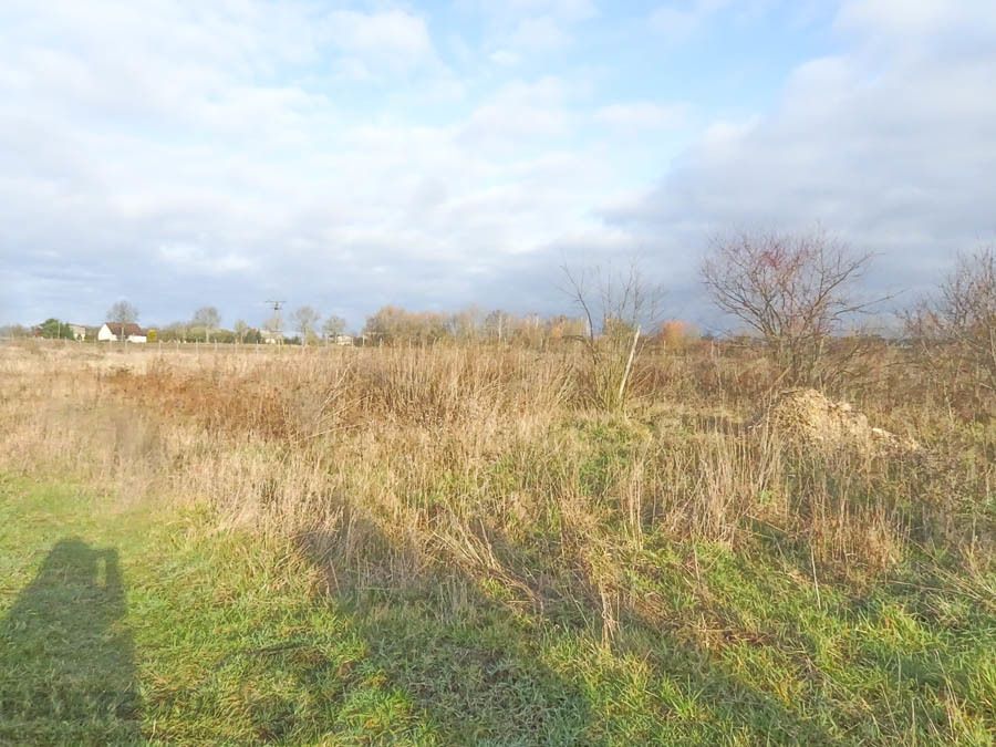 Działka budowlana Stara Dąbrowa. Zdjęcie 30