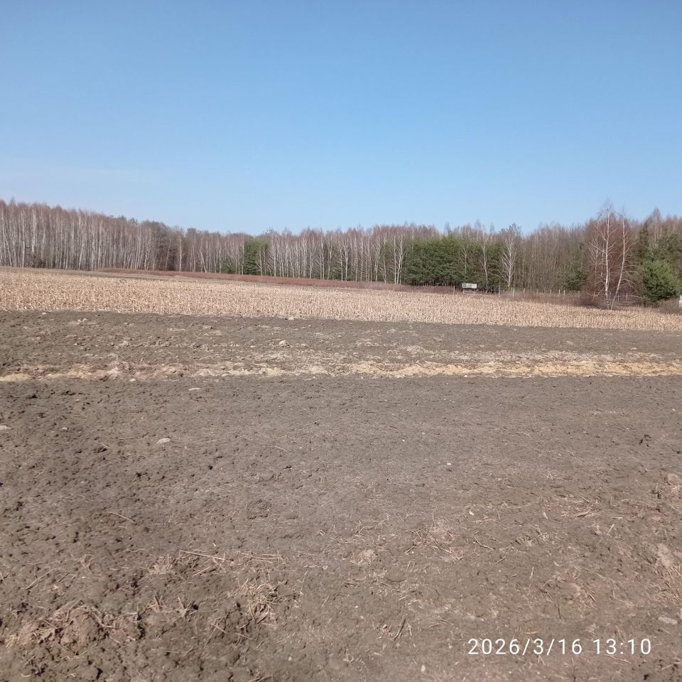 Działka budowlana Pająków. Zdjęcie 6