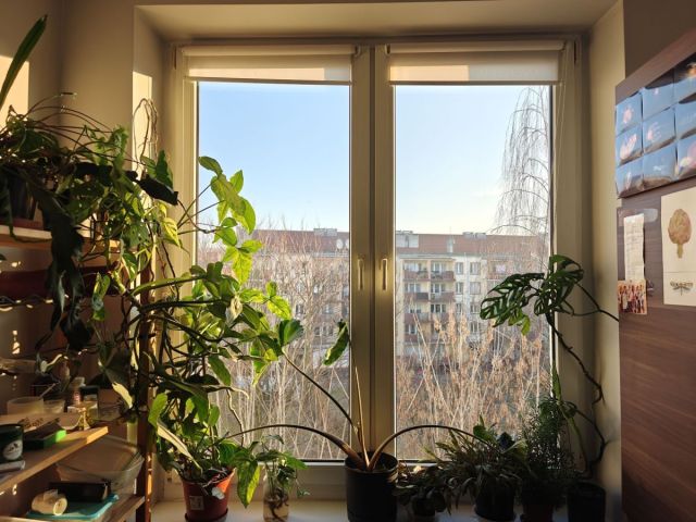 Mieszkanie 2-pokojowe Wrocław Stare Miasto, pl. Legionów. Zdjęcie 4