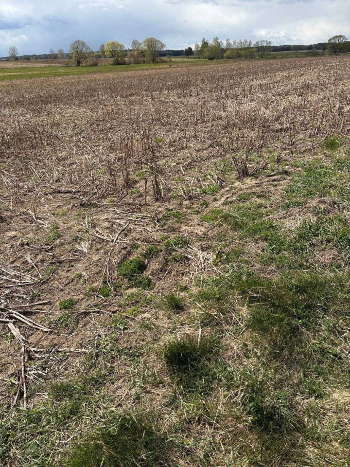 Działka rolna Doratynka. Zdjęcie 7