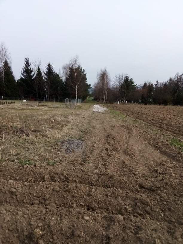 Działka Sieciechowice. Zdjęcie 5