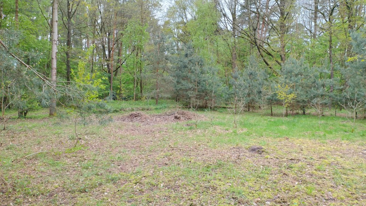 Działka budowlana Zofiówka, ul. Cmentarna. Zdjęcie 3