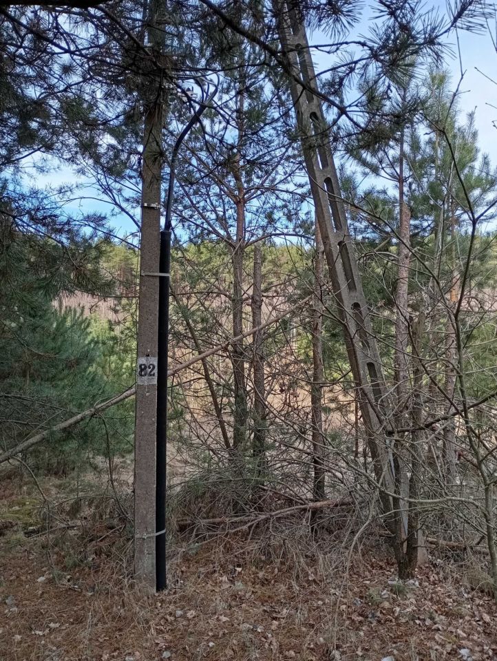 Działka budowlana Moszczona Pańska. Zdjęcie 5