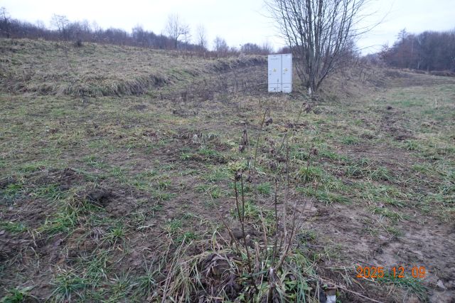 Działka budowlana Golkowice Zarzecze. Zdjęcie 1