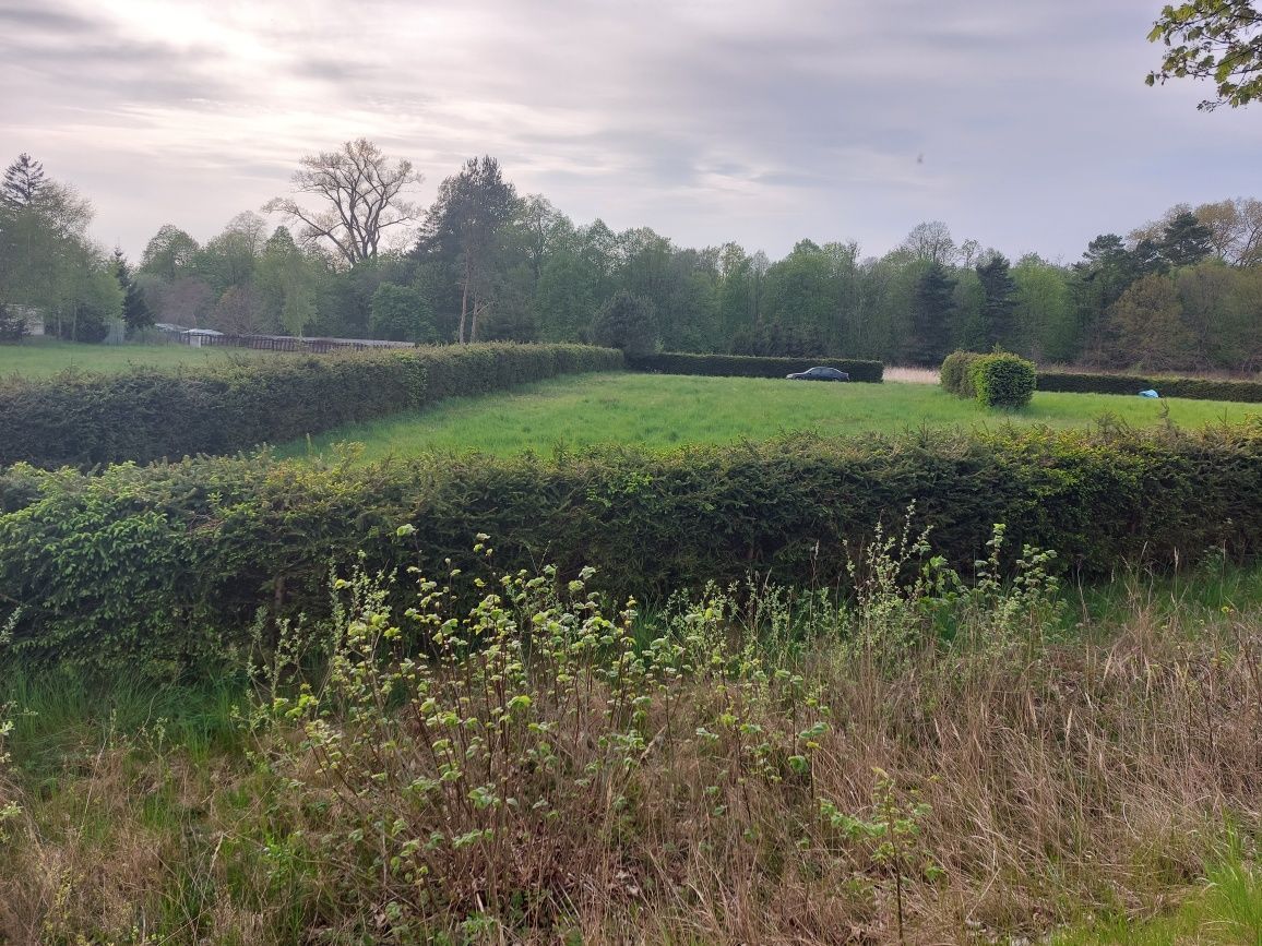 Działka rolna Gostyniec. Zdjęcie 7