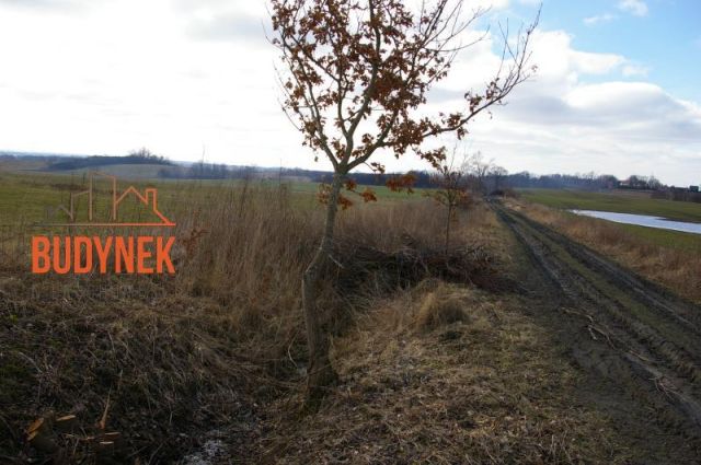 Działka budowlana Kopnica. Zdjęcie 15