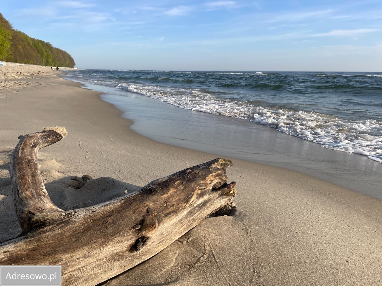 Hotel/pensjonat Jastrzębia Góra. Zdjęcie 9