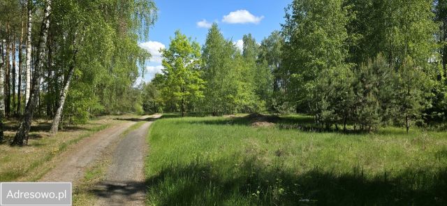 Działka rolna Skoki Duże. Zdjęcie 1