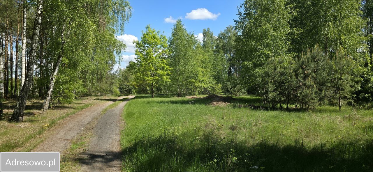 Działka rolna Skoki Duże