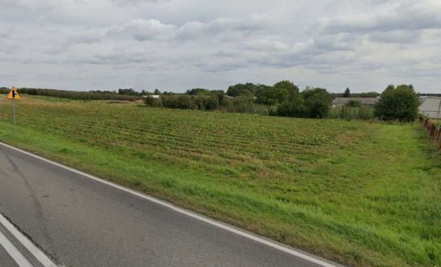 Działka rolna Palczew. Zdjęcie 1