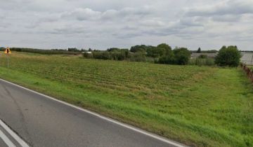 Działka rolna Palczew