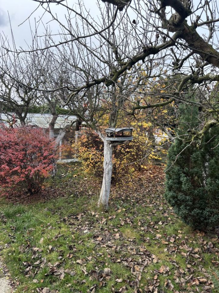 Działka rod Gniezno Winiary. Zdjęcie 3