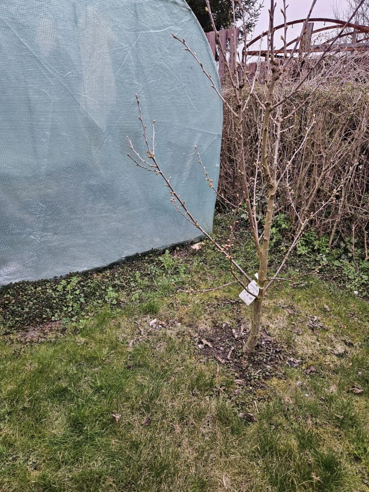 Działka rod Stargard Centrum, ul. Na Grobli. Zdjęcie 16