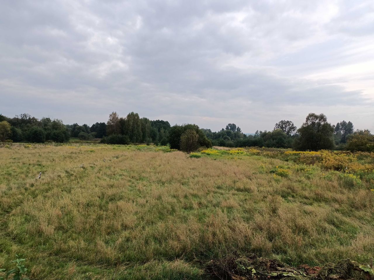 Działka rolno-budowlana Niegowoniczki, ul. Chechelska. Zdjęcie 3