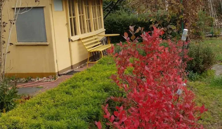 Działka rod Warszawa Groty, ul. Bolimowska