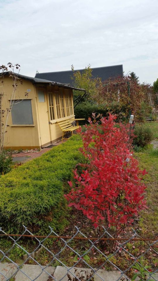 Działka rod Warszawa Groty, ul. Bolimowska