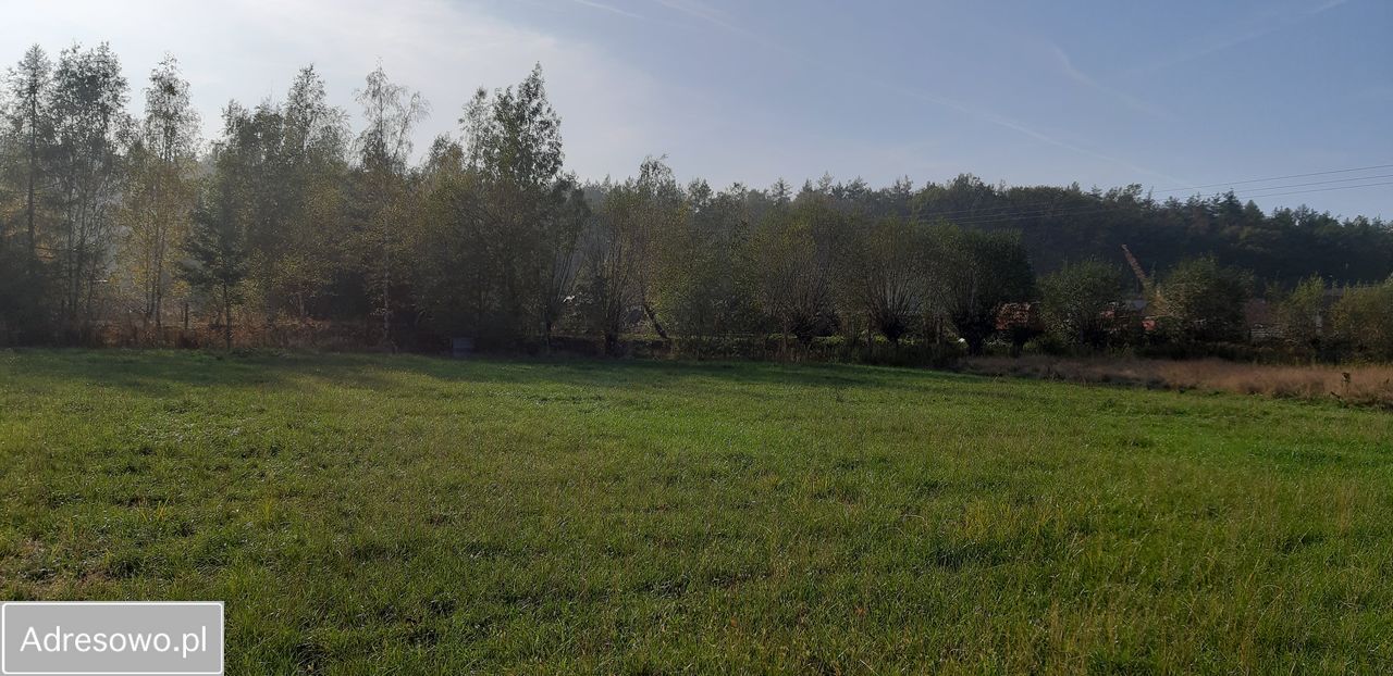 Działka budowlana Motyczyn. Zdjęcie 5