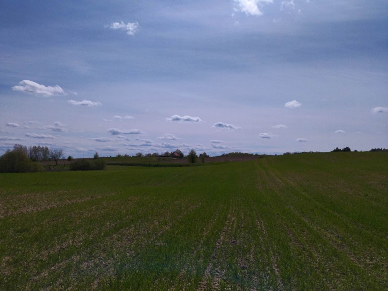 Działka budowlana Łączno. Zdjęcie 9