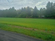 Działka budowlana Czuryły. Zdjęcie 4