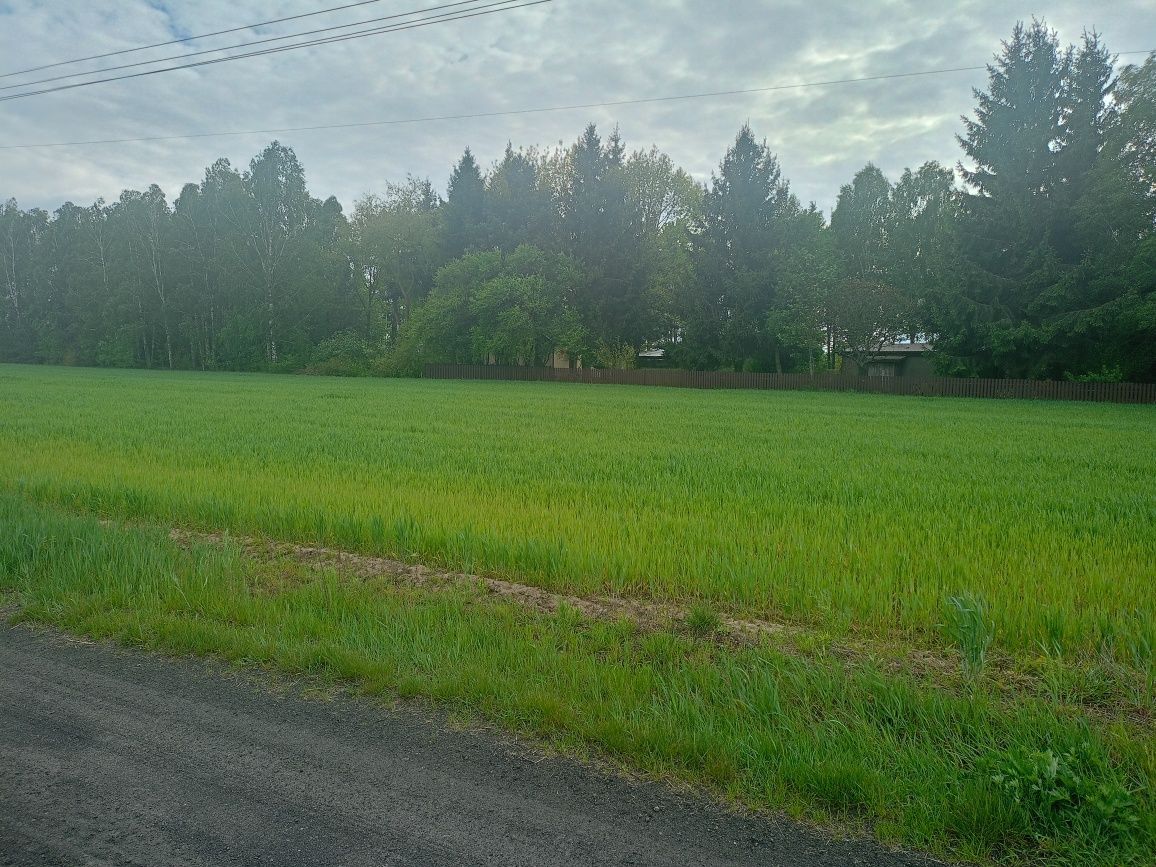 Działka budowlana Czuryły. Zdjęcie 5