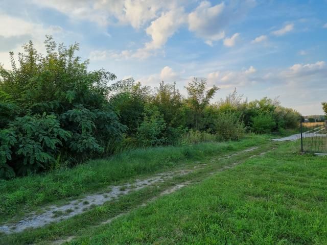 Działka budowlana Zaborówek. Zdjęcie 1