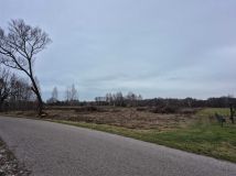 Działka rolna Pawłów. Zdjęcie 2