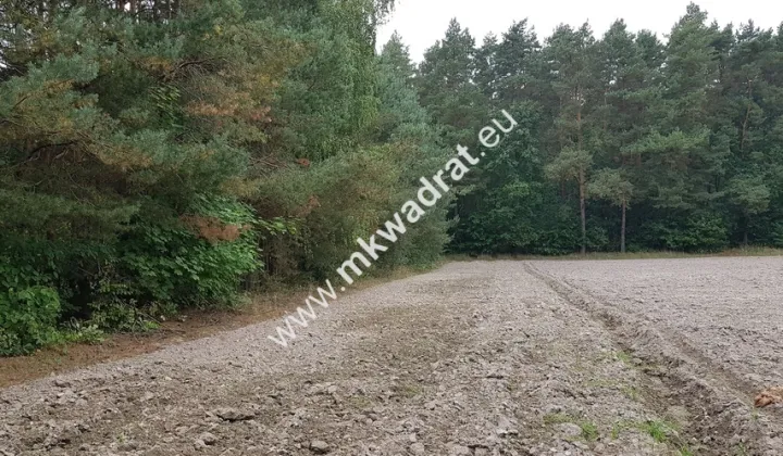 Działka Budy Wolskie