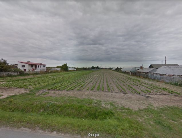 Działka budowlana Skierniewice, ul. Trzcińska. Zdjęcie 1