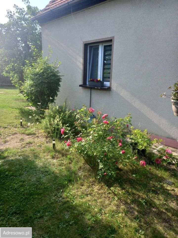 dom wolnostojący, 3 pokoje Postolin. Zdjęcie 5