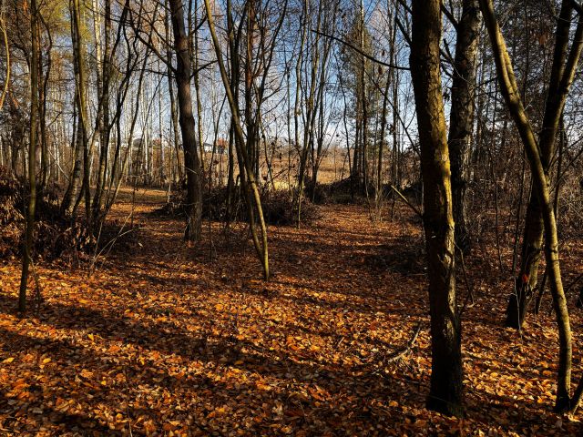 Działka budowlana Wyżnianka-Kolonia. Zdjęcie 10