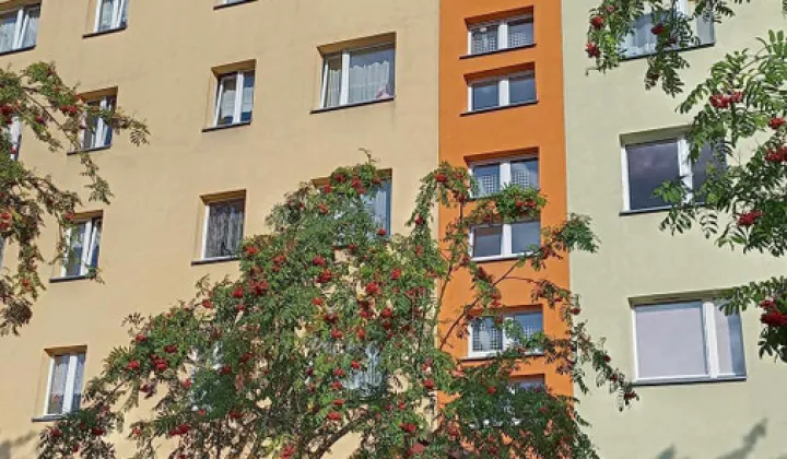 Mieszkanie 3-pokojowe Suwałki, ul. gen. Władysława Andersa