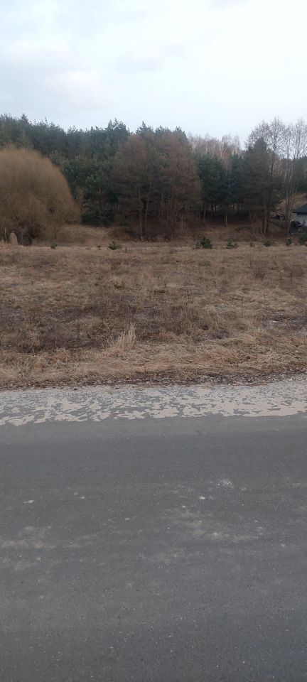 Działka rolno-budowlana Zgoda. Zdjęcie 1