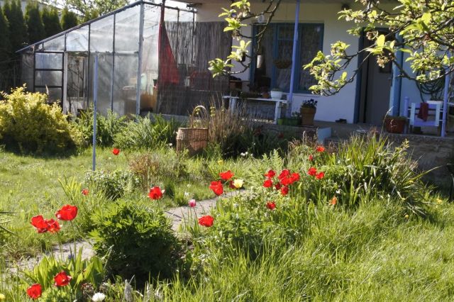 Działka rod Częstochowa Północ. Zdjęcie 1